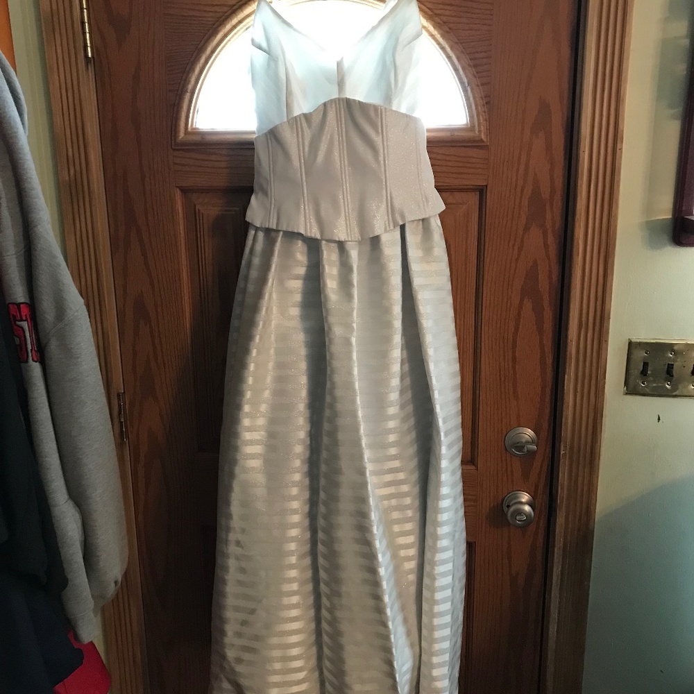 Size 14 Scott McClintock White and Silver Dress